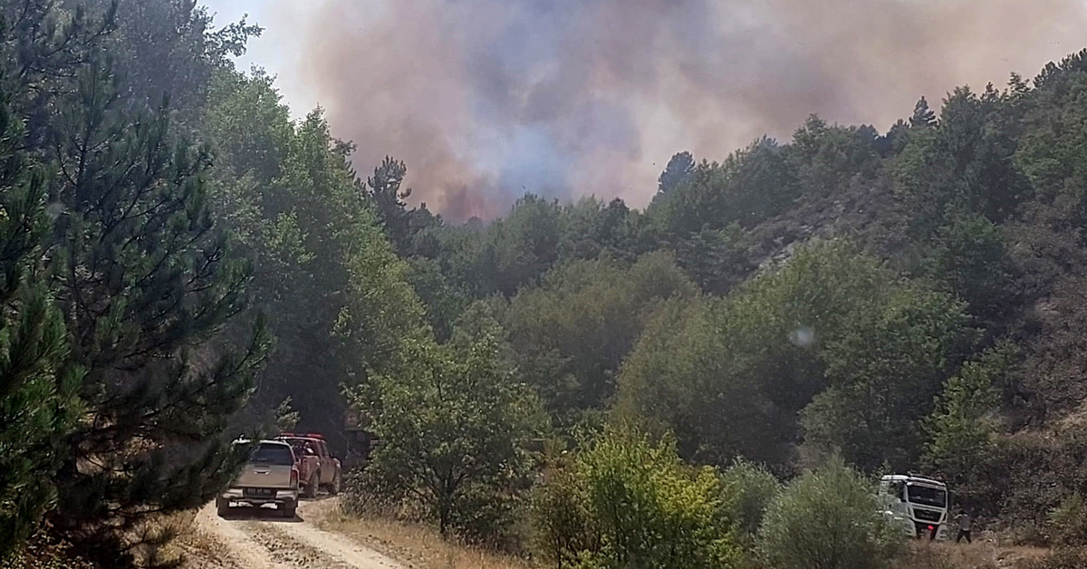 İzmir Menderes, Balıkesir ve Afyonkarahisar’da orman yangını