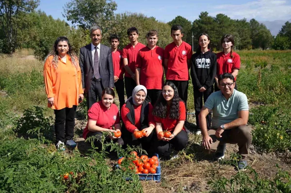 Erzincan’da Öğrenciler Organik Sebze Üretiyor