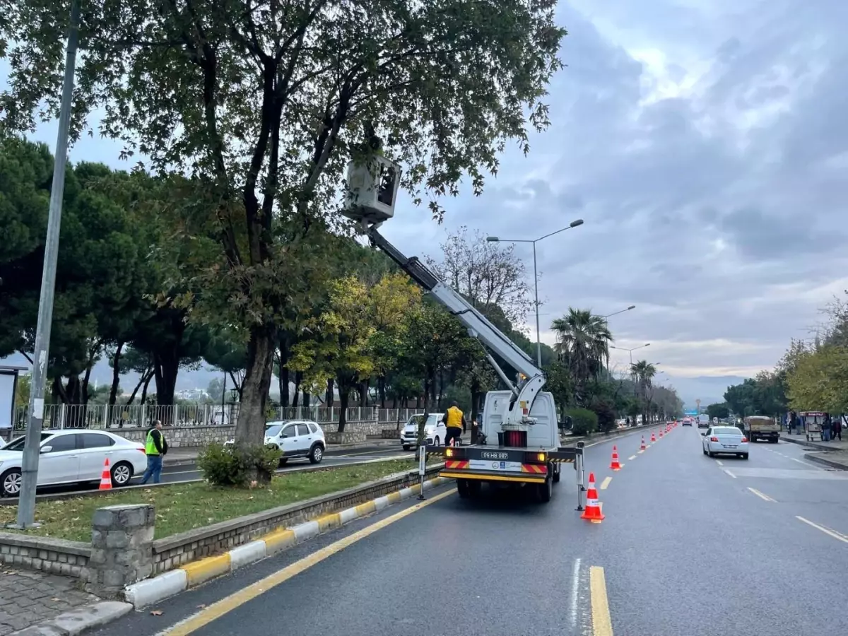 Aydın Büyükşehir Belediyesi, Park ve Bahçeler Çalışmalarına Devam Ediyor